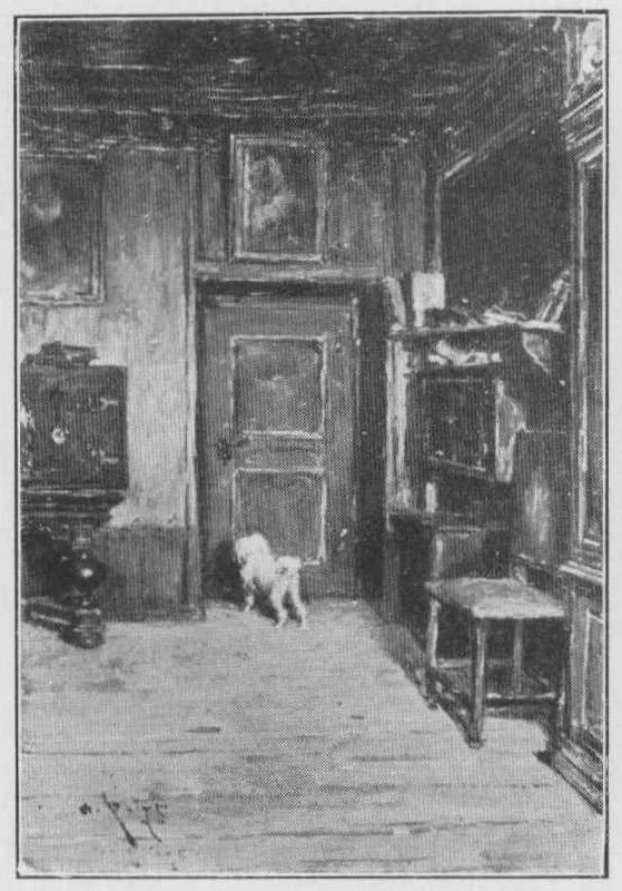 Angolo della stanza con il cane